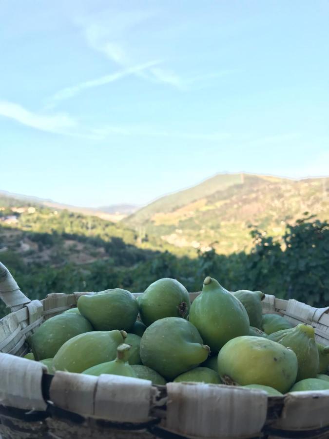 Private Douro- Quinta Das Susandas Mesão Frio Eksteriør billede