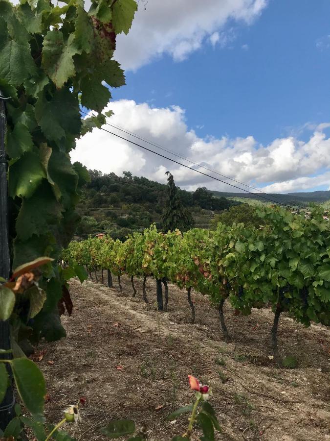 Private Douro- Quinta Das Susandas Mesão Frio Eksteriør billede