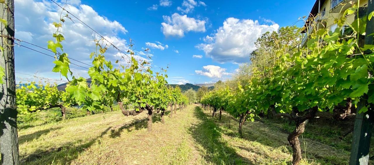 Private Douro- Quinta Das Susandas Mesão Frio Eksteriør billede