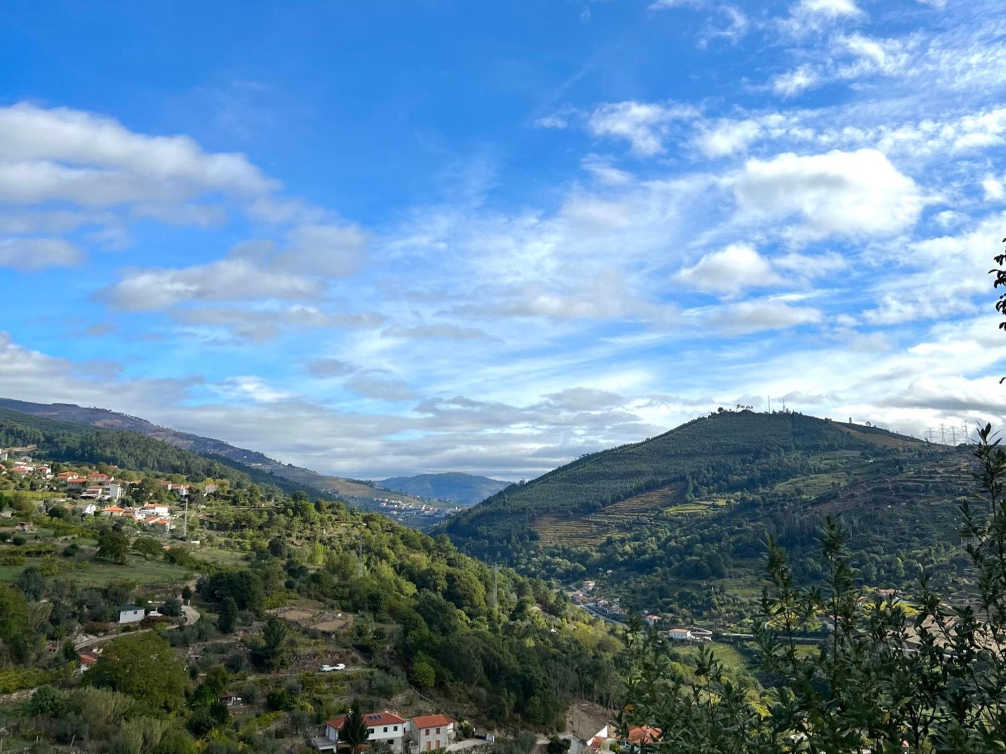 Private Douro- Quinta Das Susandas Mesão Frio Eksteriør billede