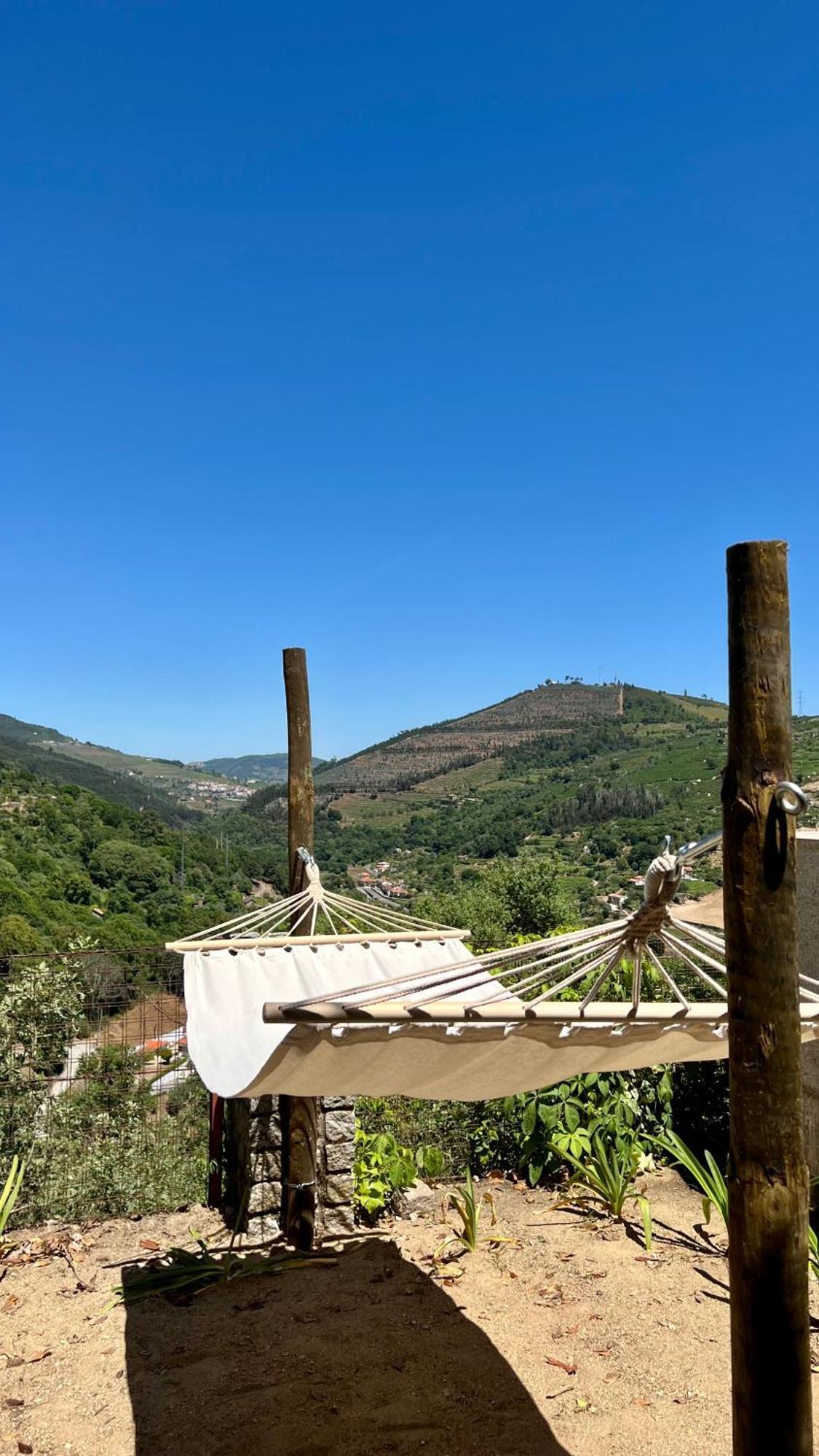Private Douro- Quinta Das Susandas Mesão Frio Eksteriør billede