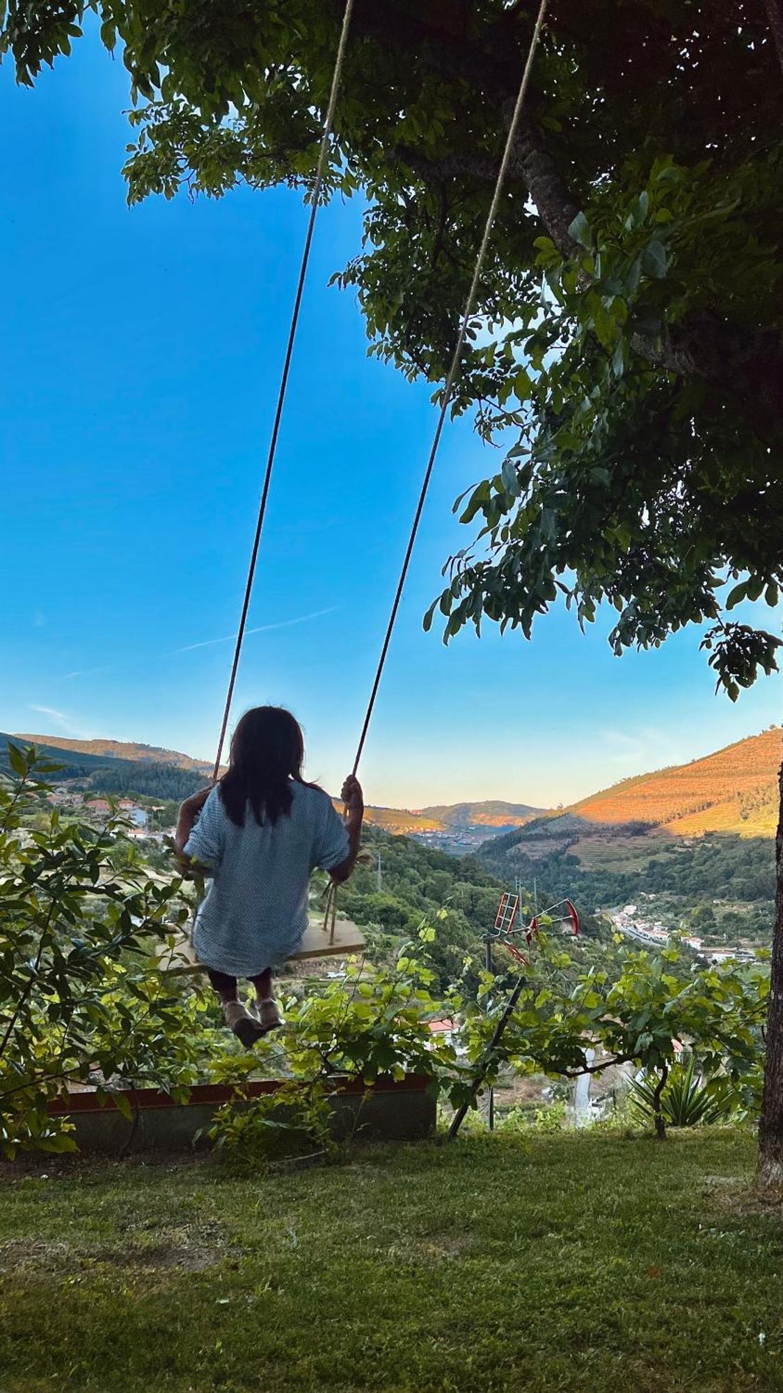 Private Douro- Quinta Das Susandas Mesão Frio Eksteriør billede