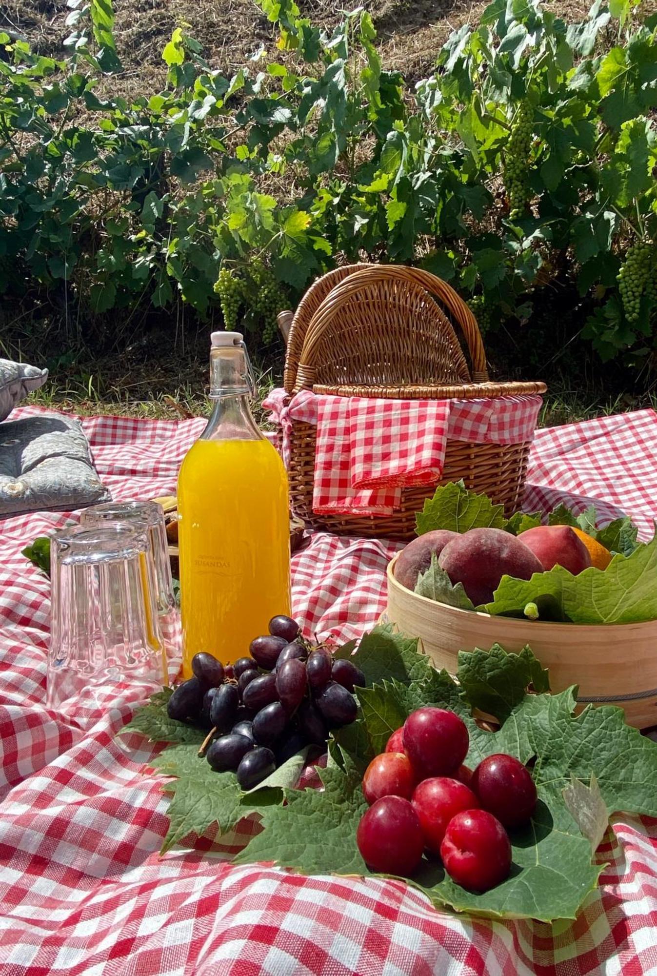 Private Douro- Quinta Das Susandas Mesão Frio Eksteriør billede