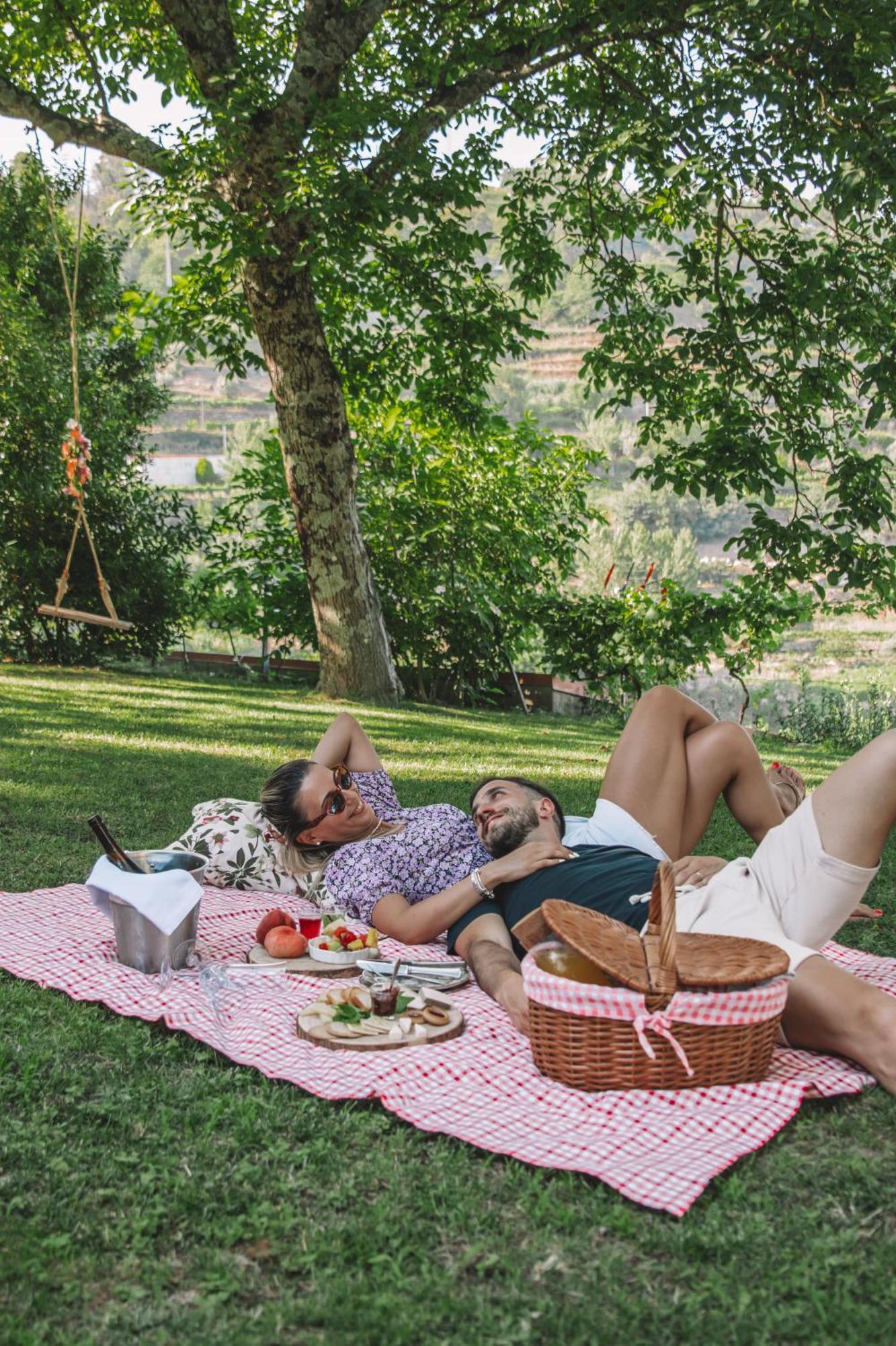 Private Douro- Quinta Das Susandas Mesão Frio Eksteriør billede