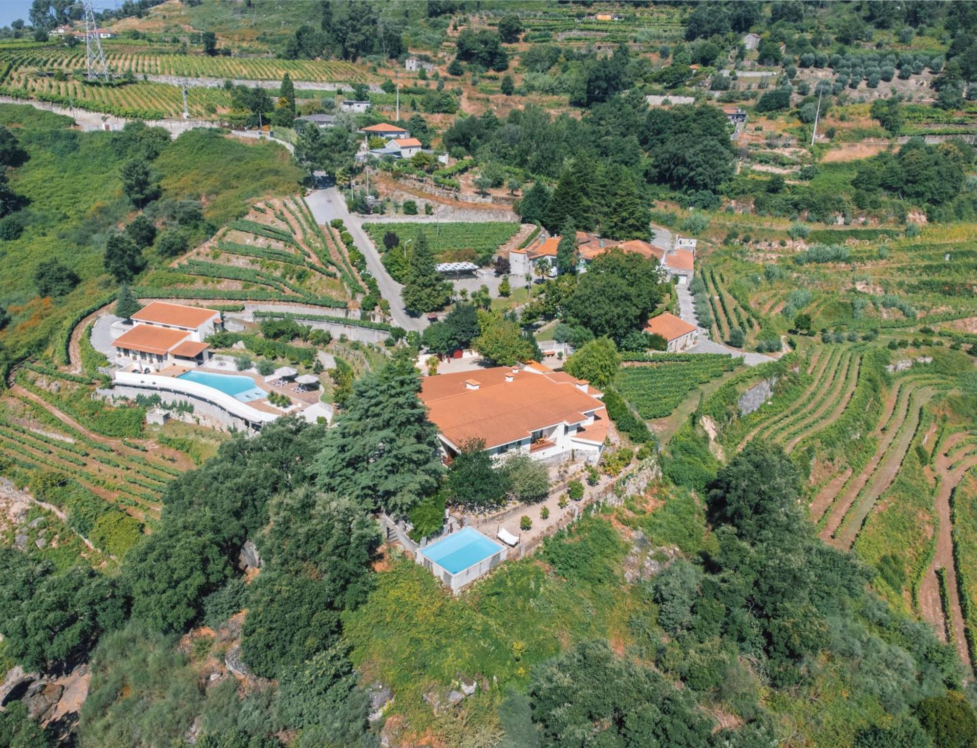 Private Douro- Quinta Das Susandas Mesão Frio Eksteriør billede
