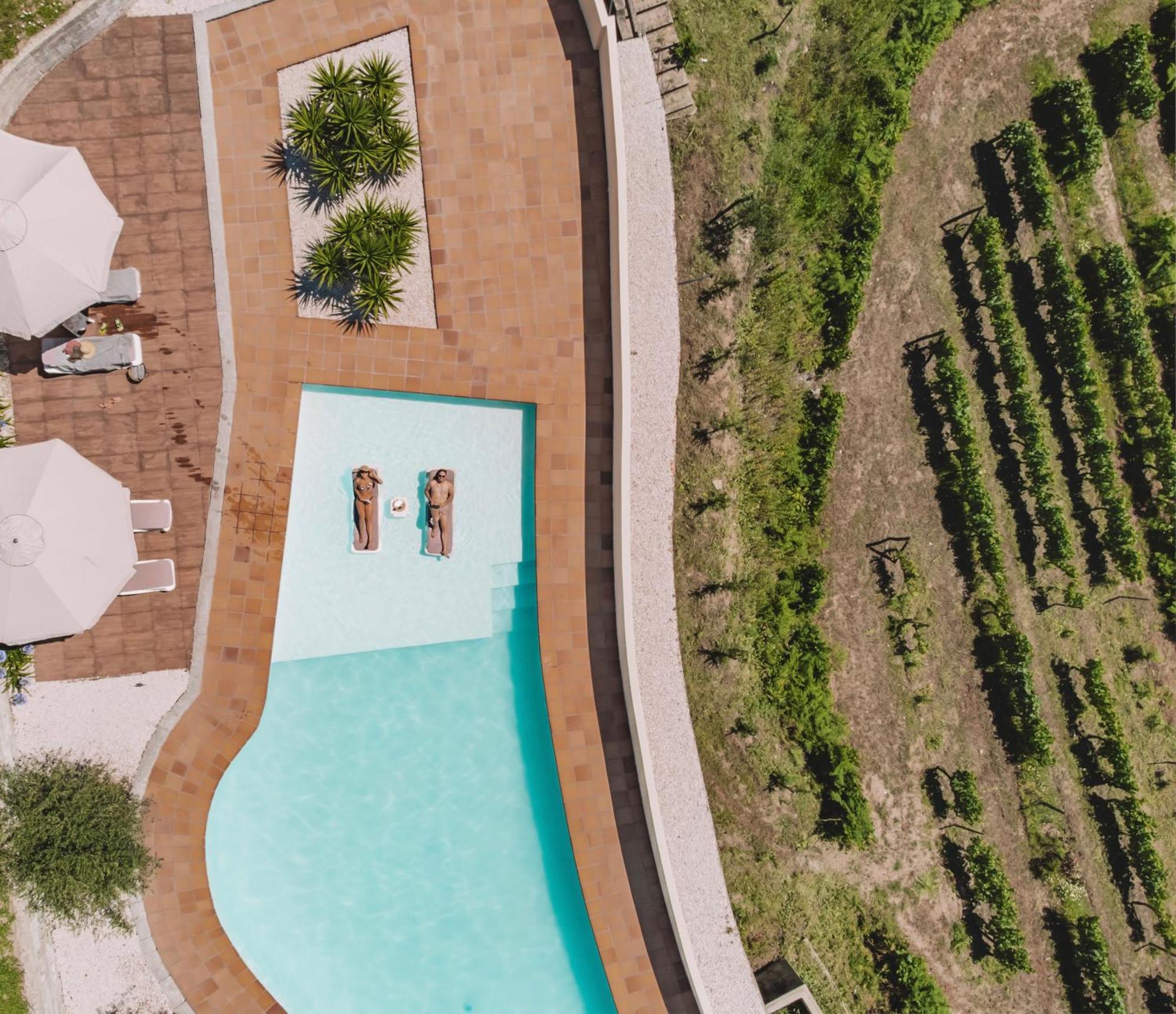 Private Douro- Quinta Das Susandas Mesão Frio Eksteriør billede
